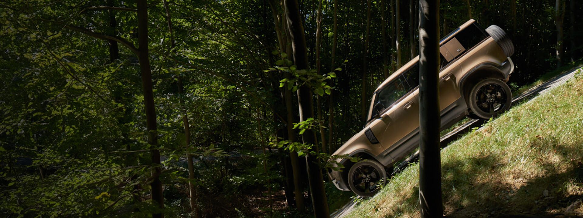 Amelung Adventure Day 2025 ANDAMO Holding GmbH & Co. KG      